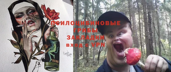 амф Белокуриха