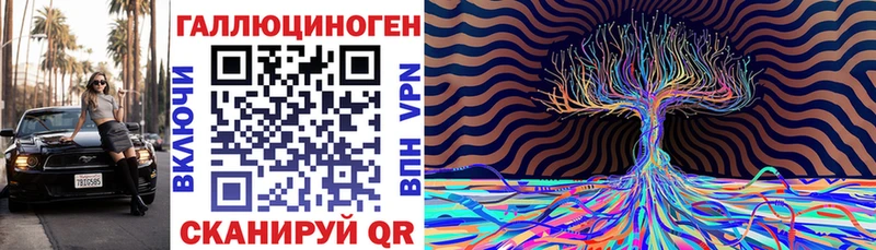 закладки Шадринск дарк нет телеграм Псилоцибиновые грибы Cubensis кракен tor